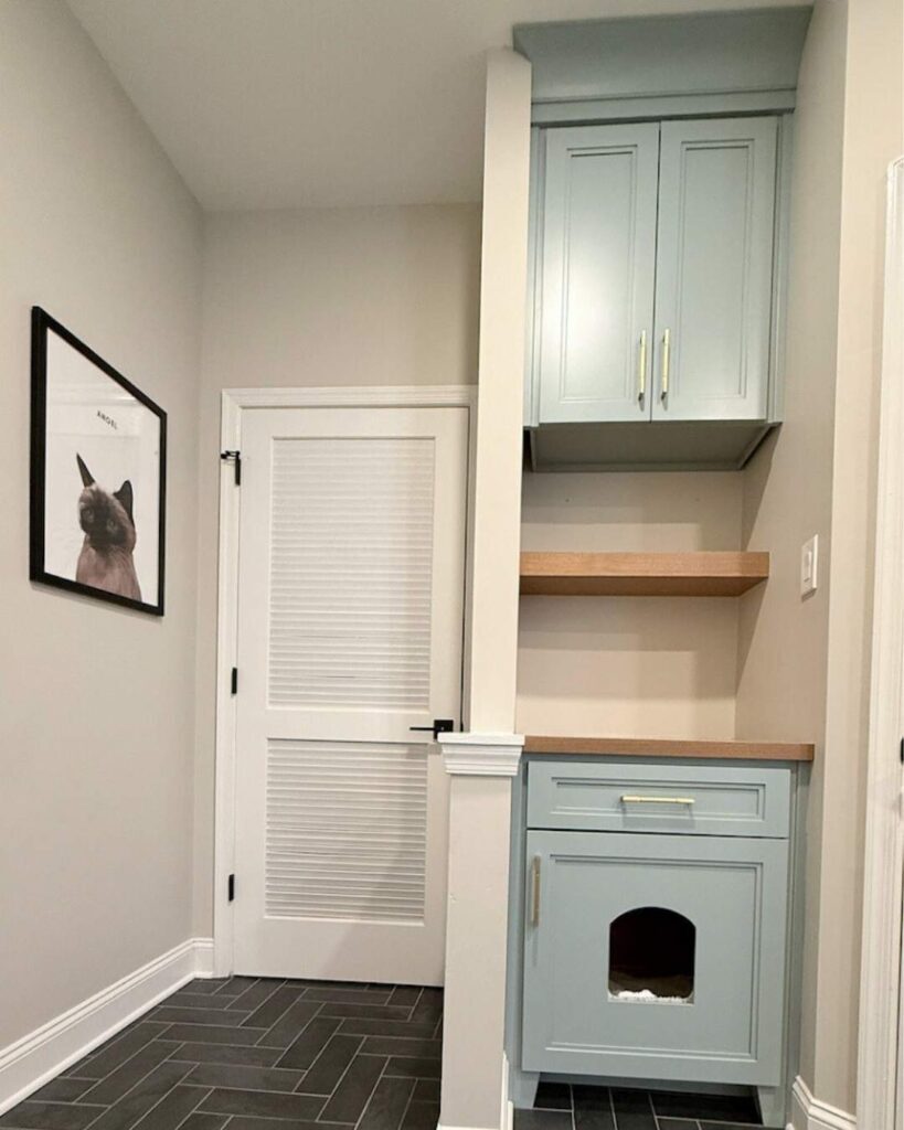 A green cat cabinet in a laundry room.