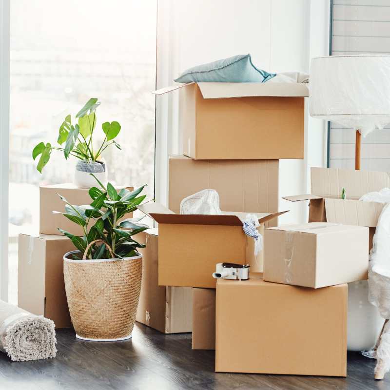How to Organize Your Home During a Kitchen Remodel