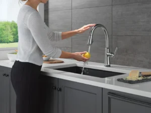 Delta faucet for an easton kitchen remodel
